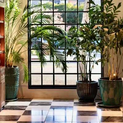 Portfolio: Bars &amp; Cafés - Cannabis Dispensary in LA