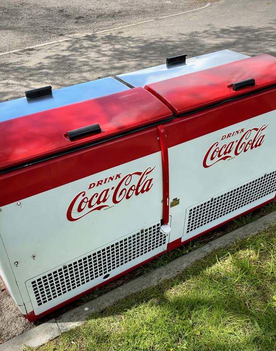 #V26: Cavalier Master CGD-C - Back